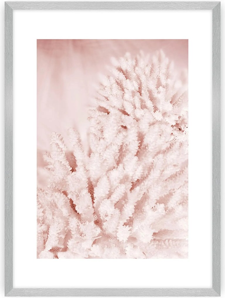 Plakat Pastel Pink II