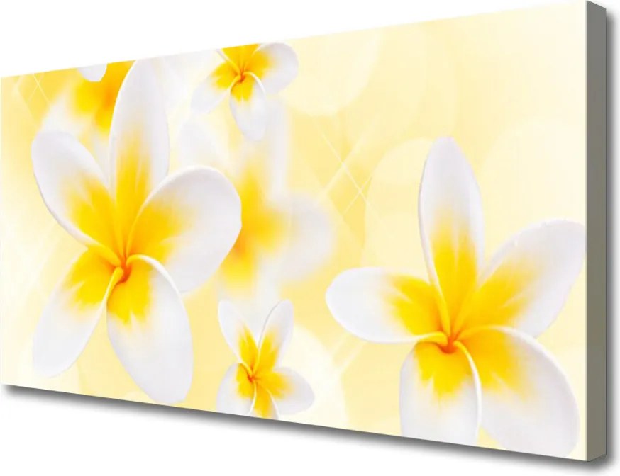 Obraz canvas Pastelowy Ogród Botaniczny