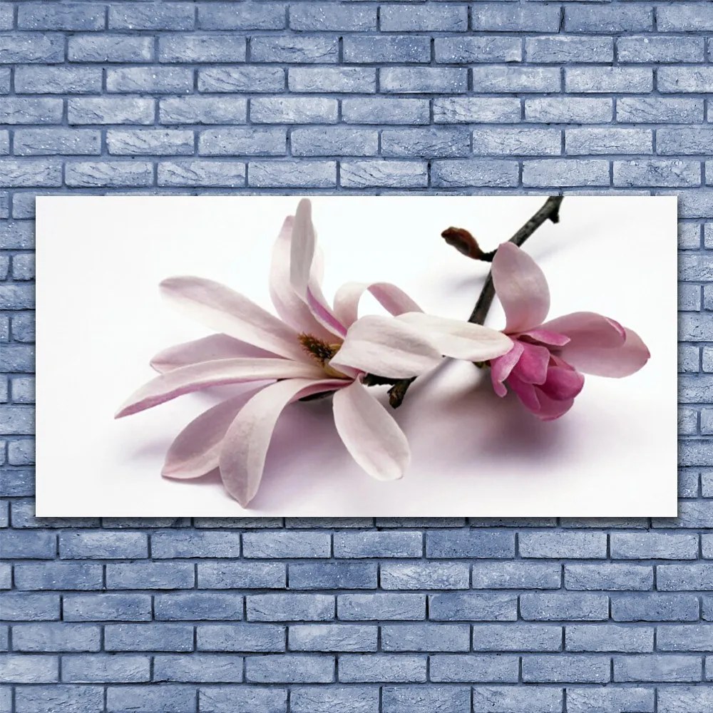 Zdjęcie na płótnie Delikatność Natury: Kwiat