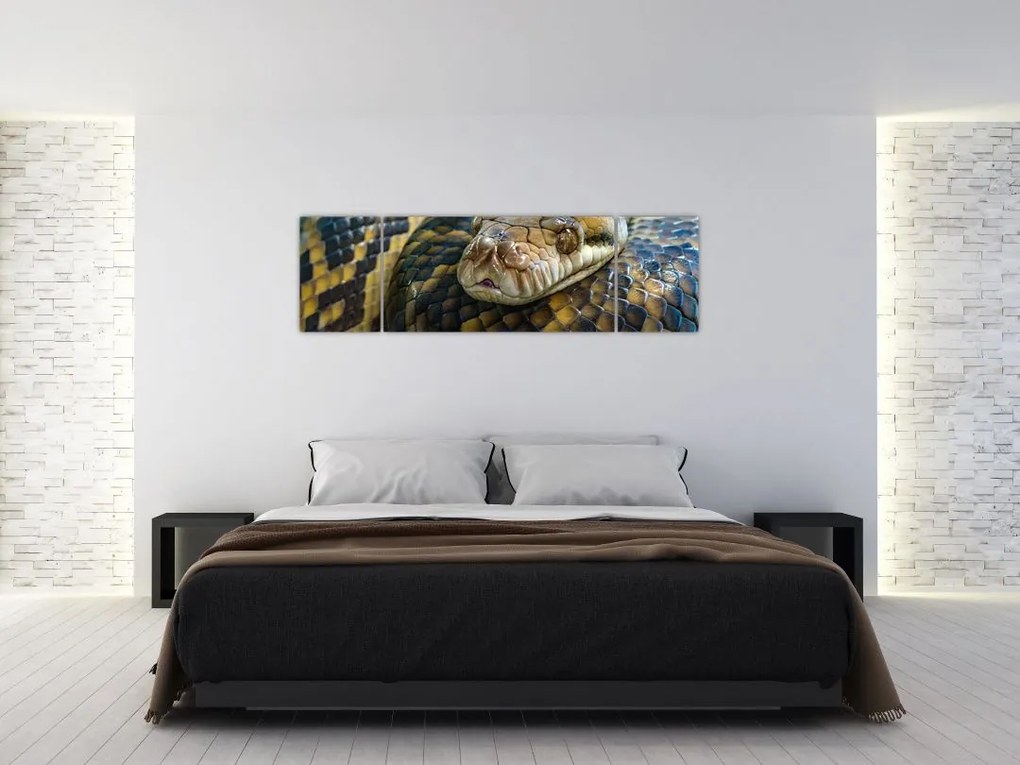 Obraz - Pyton (170x50 cm)