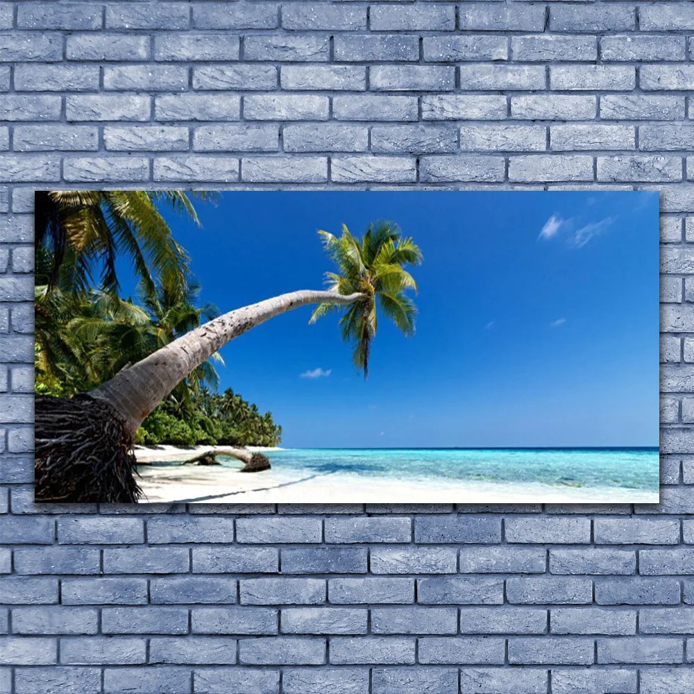 Obraz Canvas Plaża Palma Morze Krajobraz