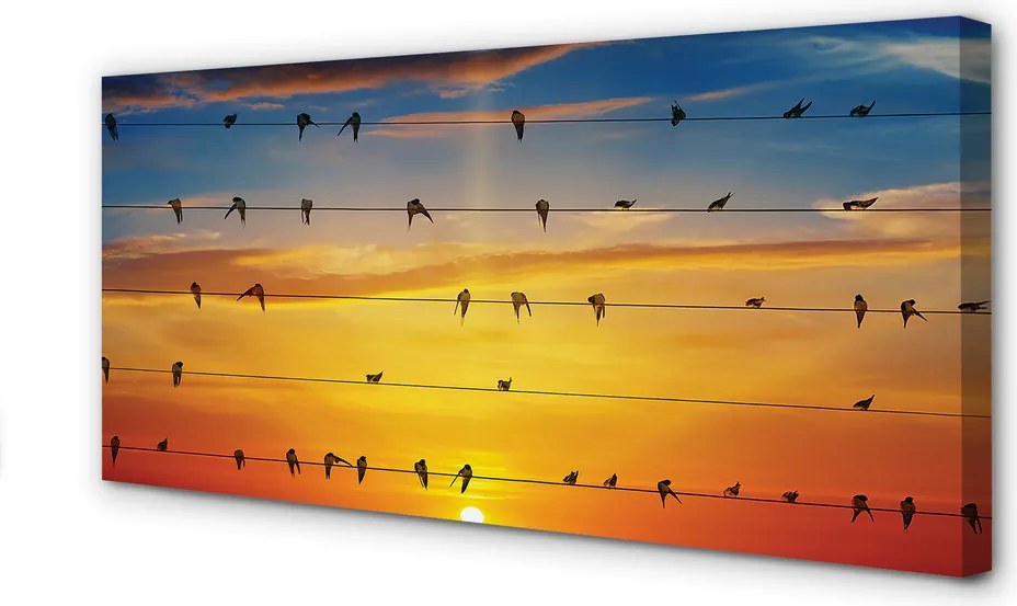 Zdjęcie na płótnie Ptaki na Linach o Zmierzchu