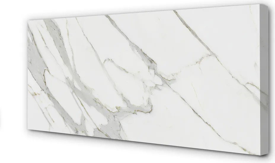 Obraz canvas na ścianę Organiczny Wzór Marmurowy