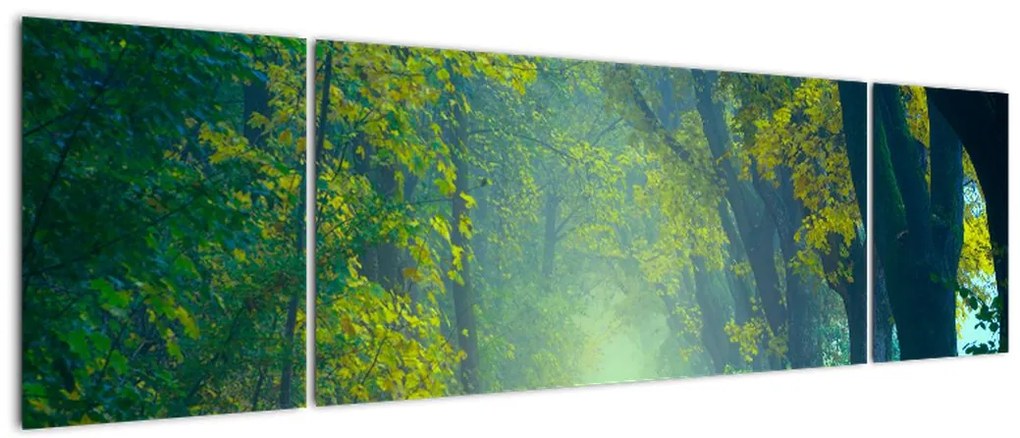 Obraz drogi wysadzanej drzewami (170x50 cm)