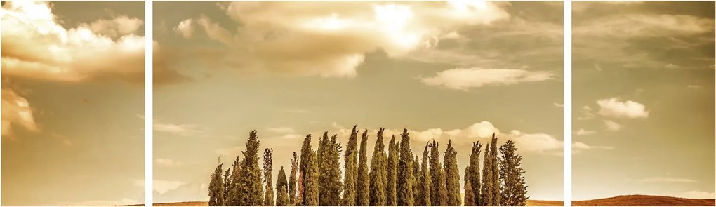 Obraz leśnej łąki (170x50 cm)