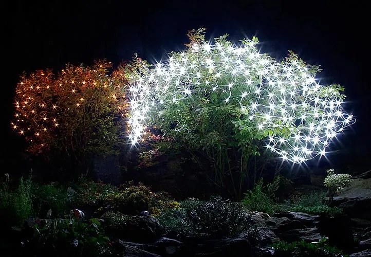 Świąteczna LED świetlna sieć - 2 x 2  m, 160 LED, zimna biel
