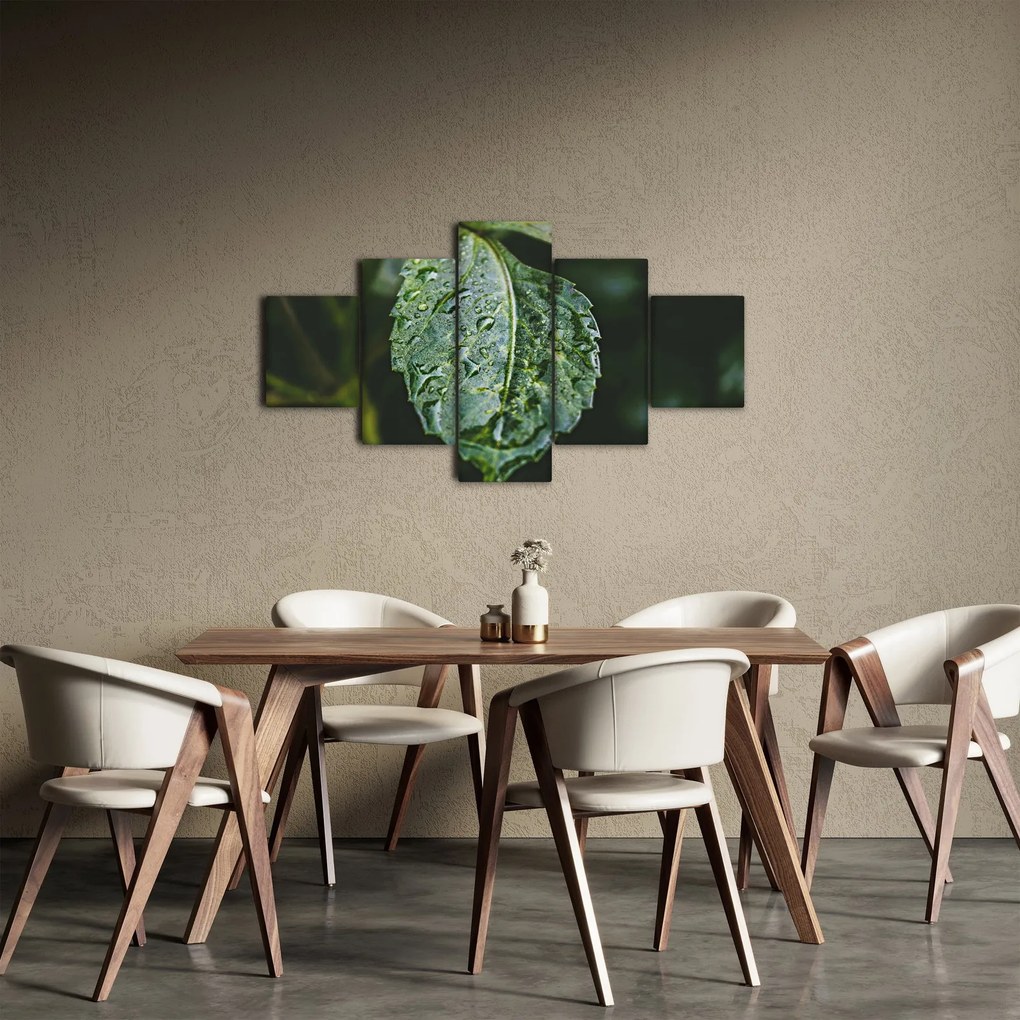 Obraz - krople na liściu (125x70 cm)