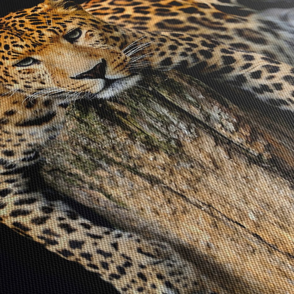 Obraz - Gepard (170x50 cm)