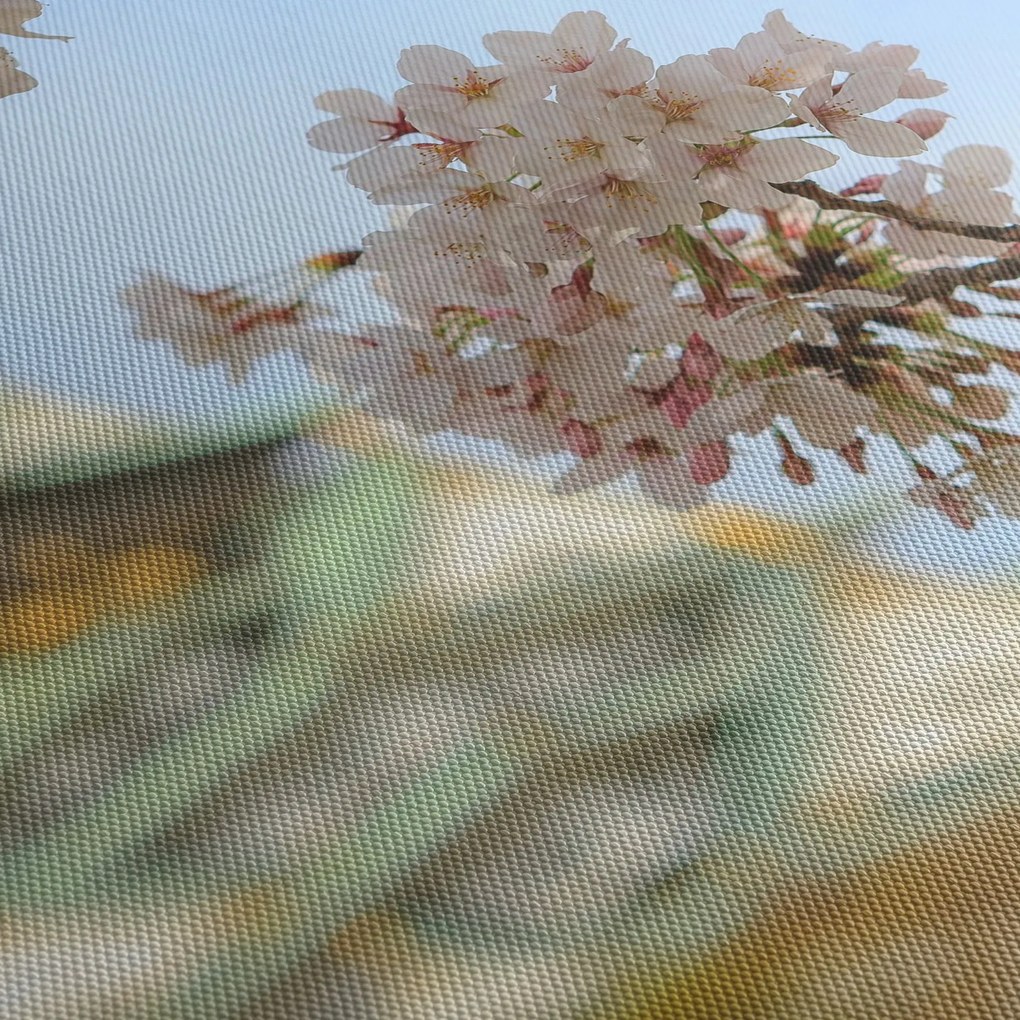 Obraz - Sakura (125x70 cm)
