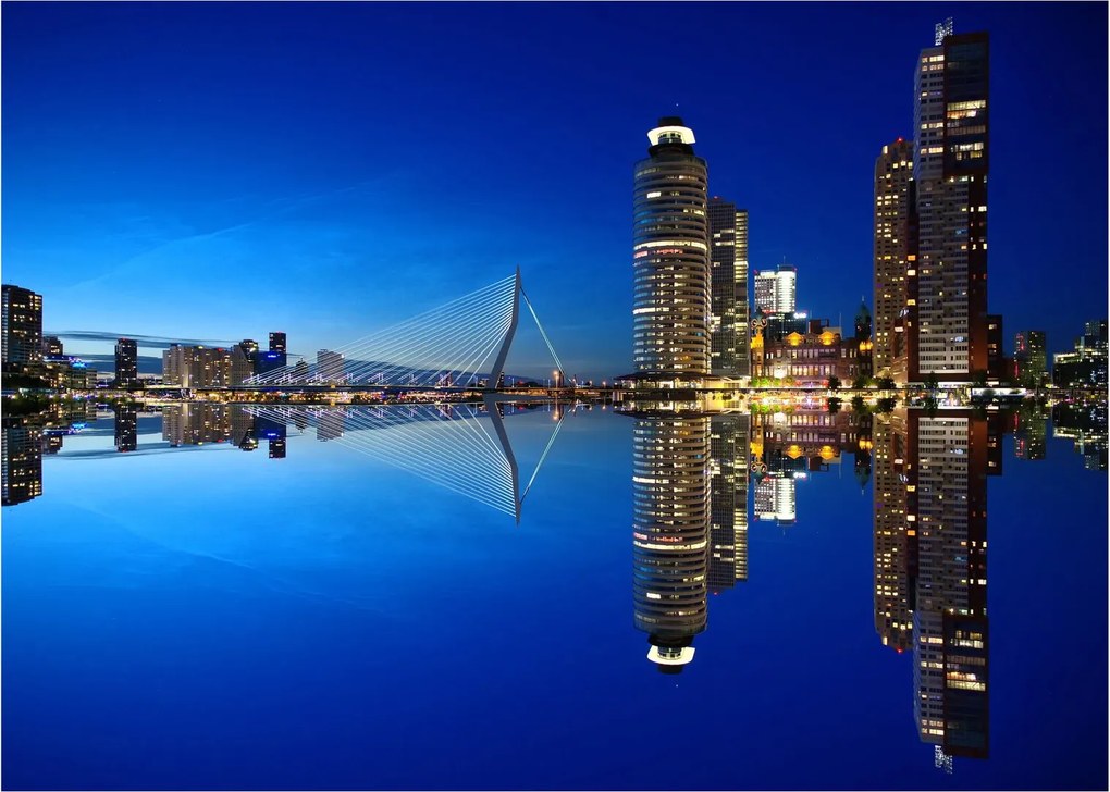 Obraz na szkle - Rotterdam nocą (70x50 cm)