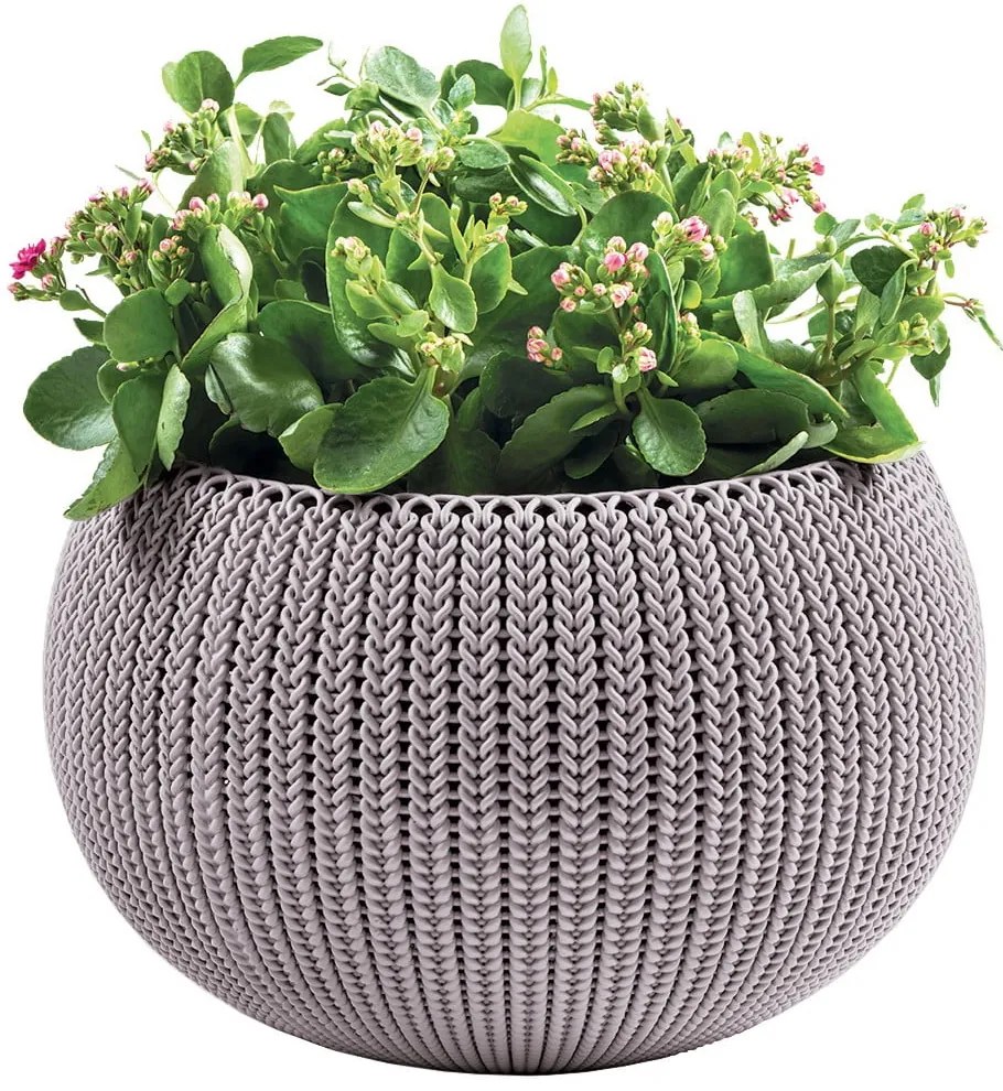 Plastikowa wisząca i ścienna doniczka ø 36 cm Cozy – Keter