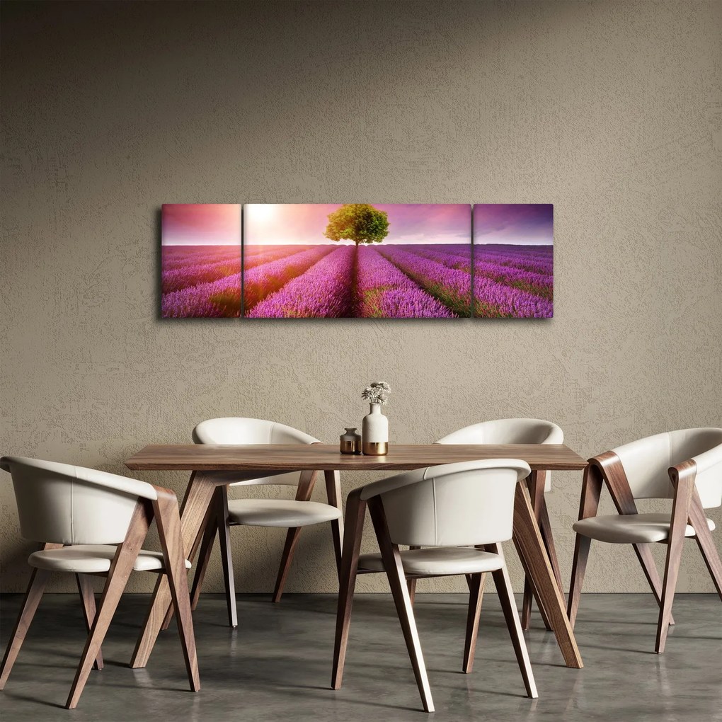 Obraz pola z lawendą (170x50 cm)