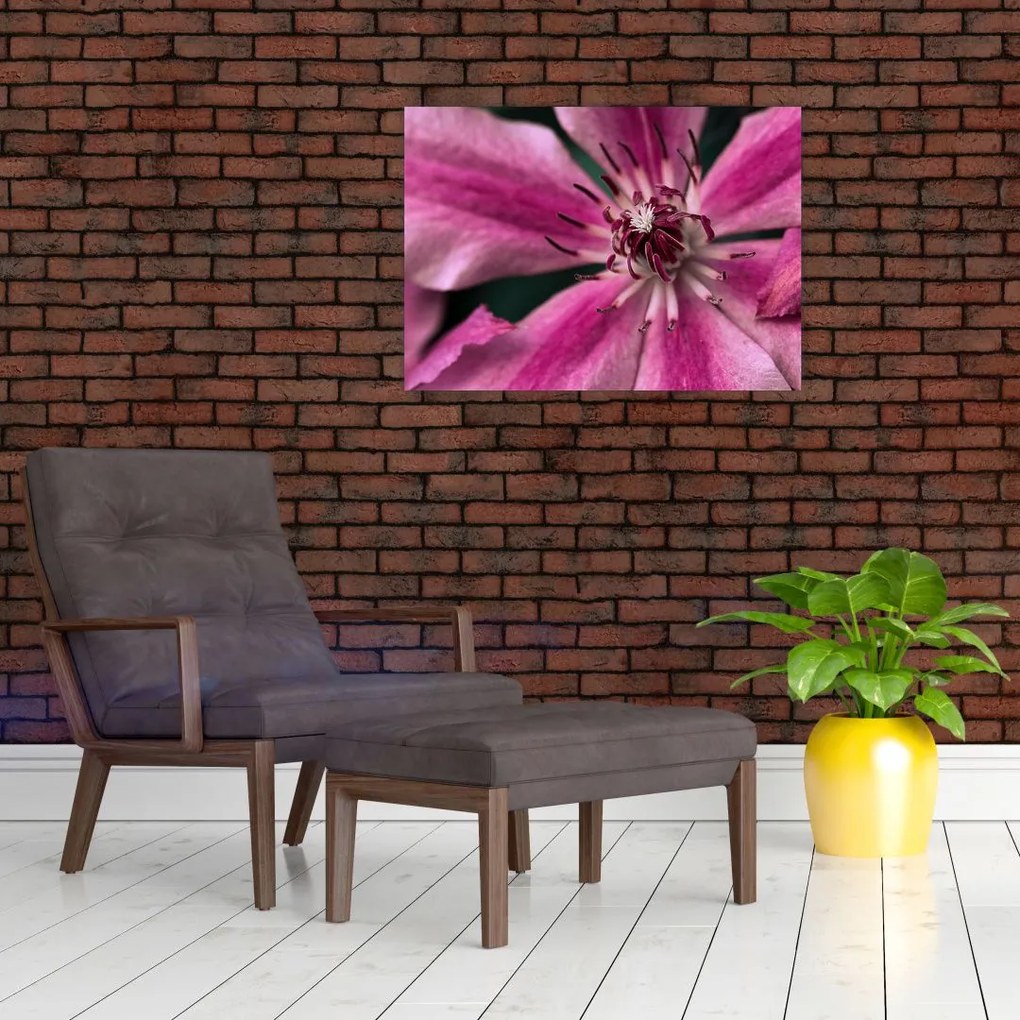 Obraz na szkle różowego kwiatu powojnika (70x50 cm)