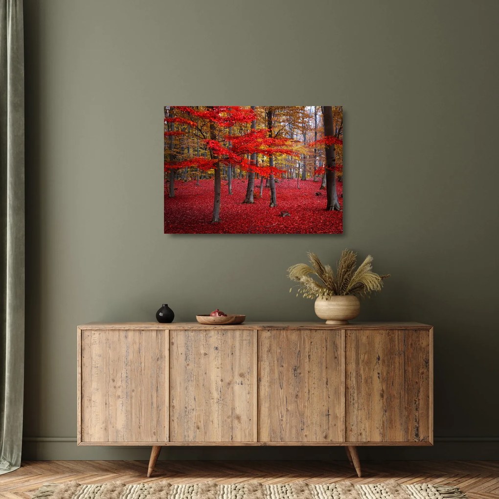Obraz na szkle - Czerwony Las (70x50 cm)