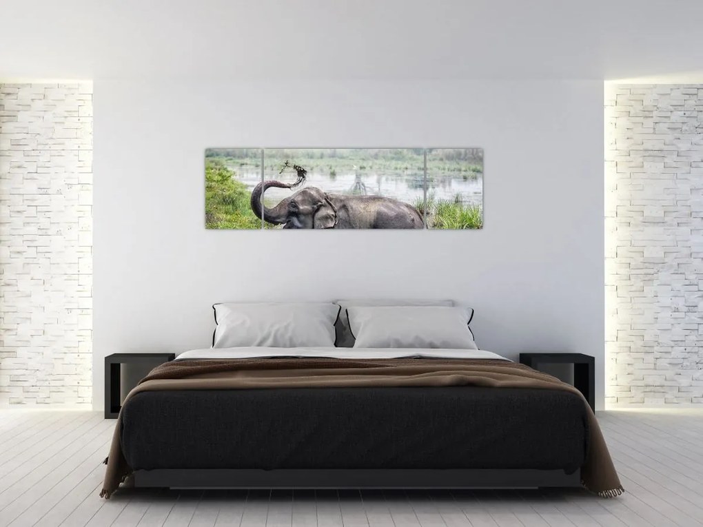 Obraz - Kąpiący się słoń (170x50 cm)