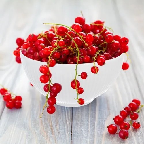 Orion Zestaw porcelanowych misek VLNKA 13 cm, 6 szt.