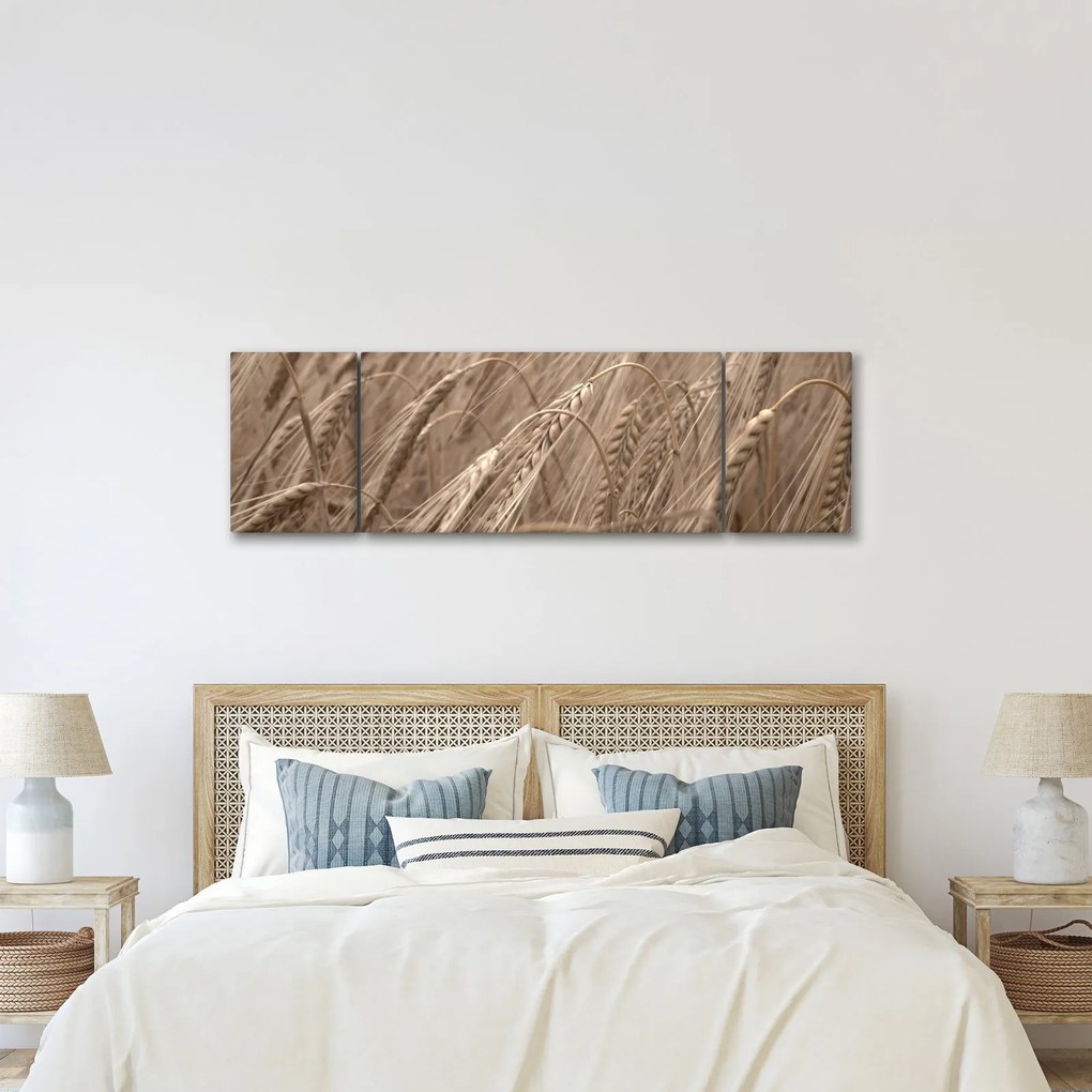 Obraz - Złote pole (170x50 cm)