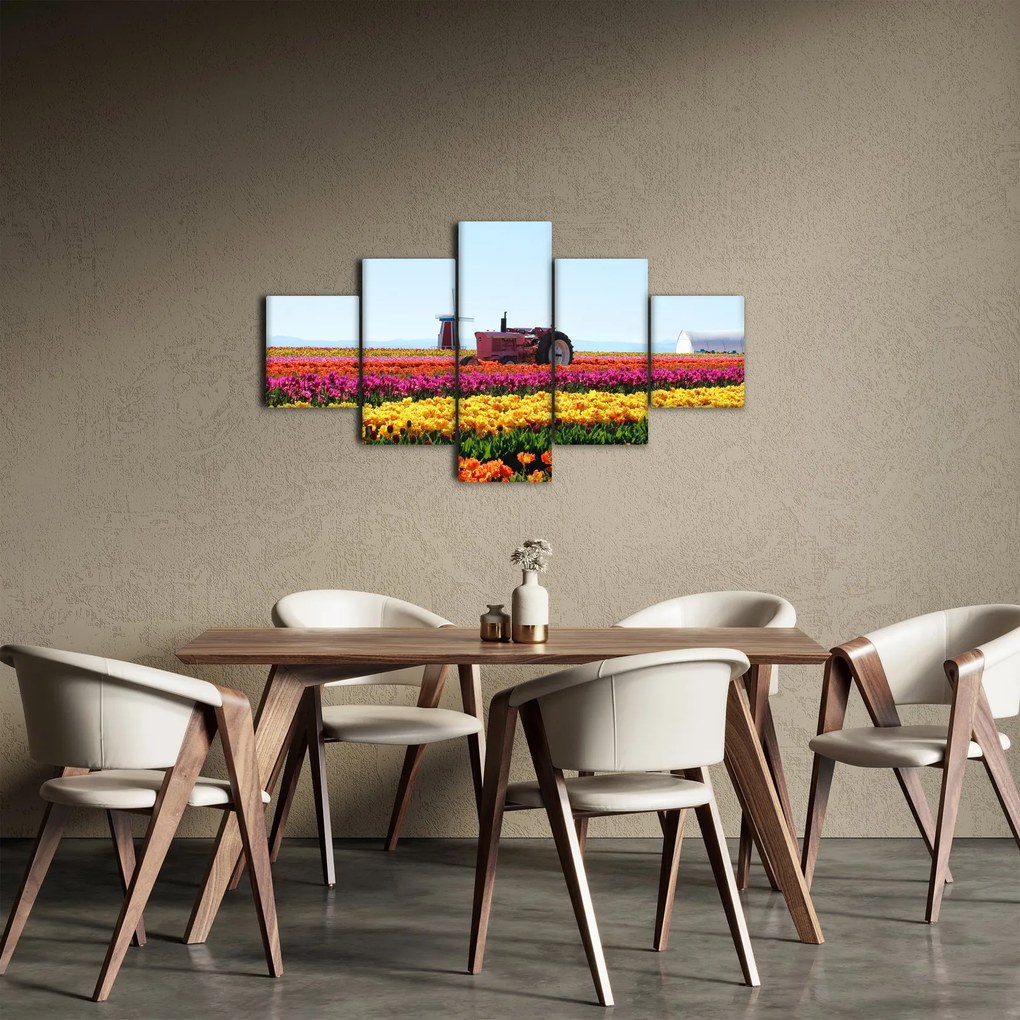 Obraz farmy tulipanów (125x70 cm)