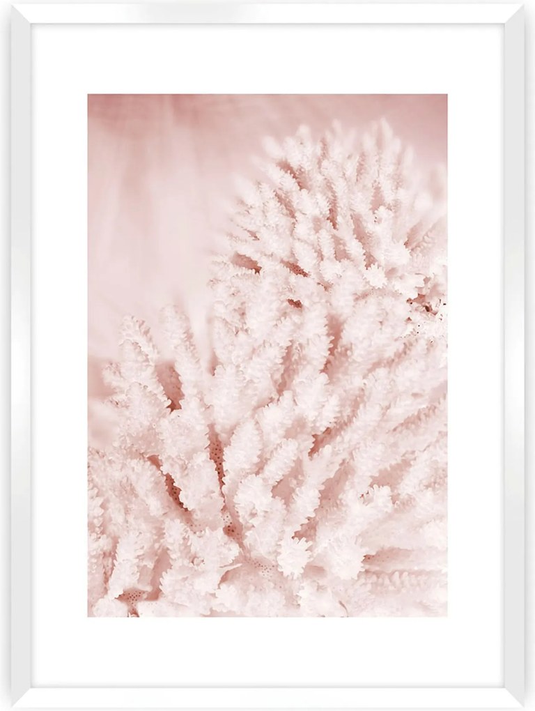 Plakat Pastel Pink II