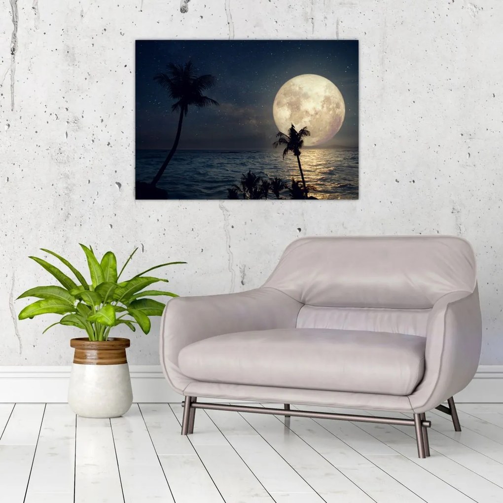 Obraz na szkle - Plaża przy pełni księżyca (70x50 cm)