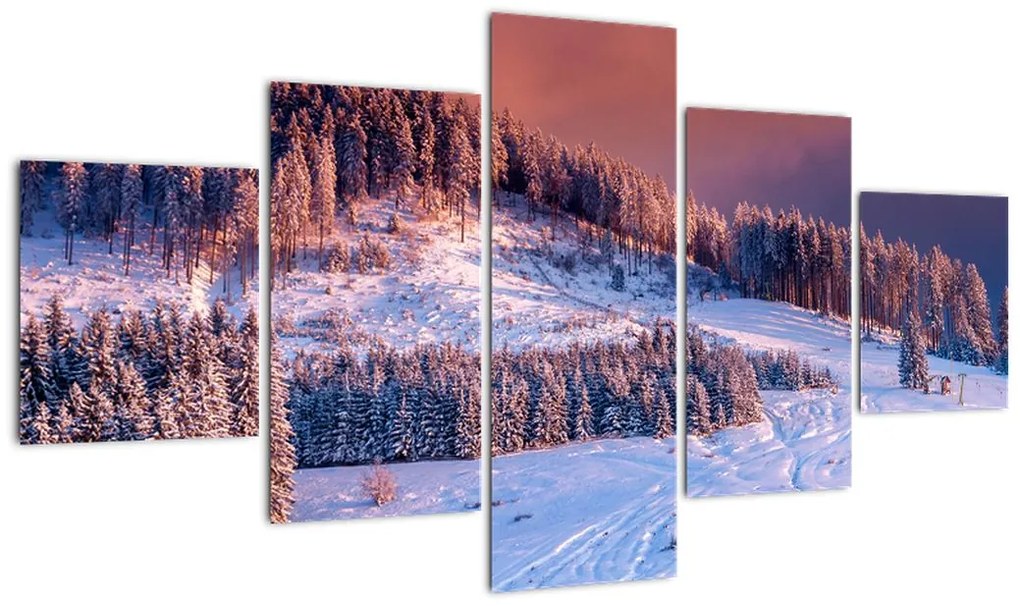 Obraz zimowego krajobrazu (125x70 cm)