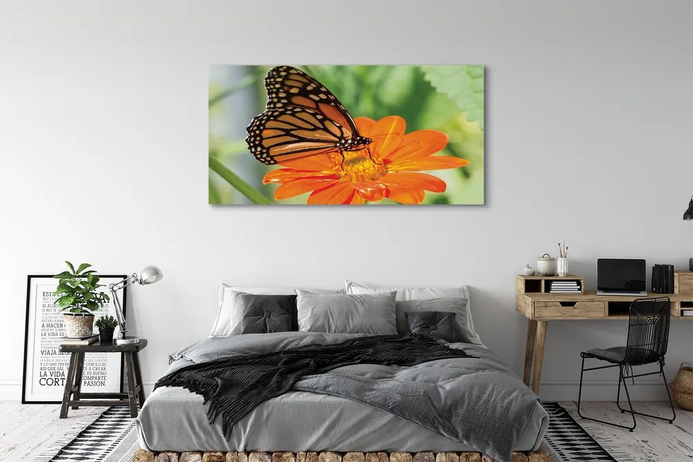Obraz drukowany na płótnie Kwiat i Kolorowy Motyl