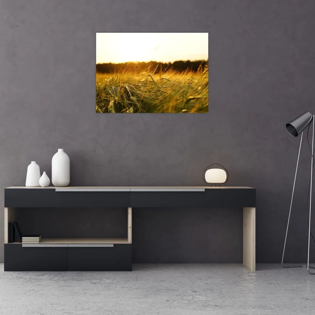 Obraz zroszonej trawy (70x50 cm)