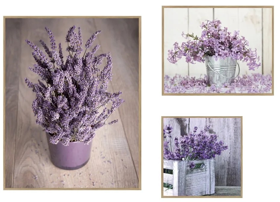Obrazy zestaw 3 szt. 40x50 cm Purple Flowers – knor