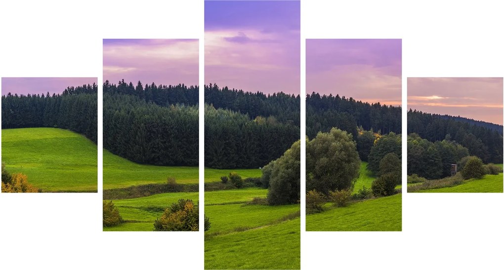 Obraz łąki (125x70 cm)