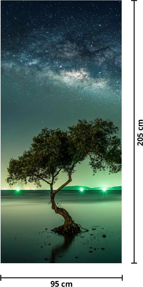 Fototapeta na drzwi - Nocne niebo (95x205cm)