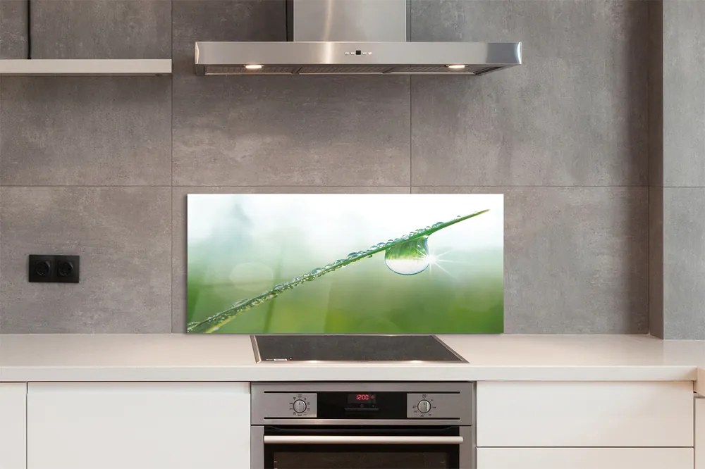 Szklany Panel Kropla trawa makro