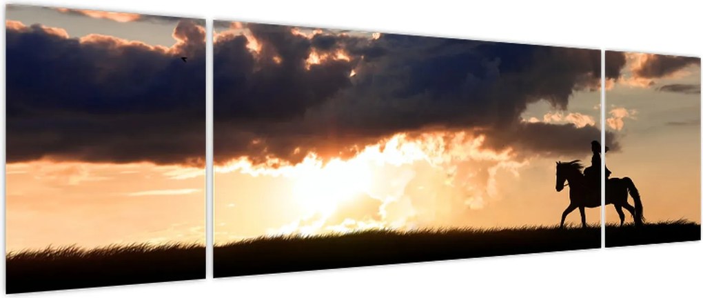 Obraz - Jeździec na koniu o zachodzie słońca (170x50 cm)