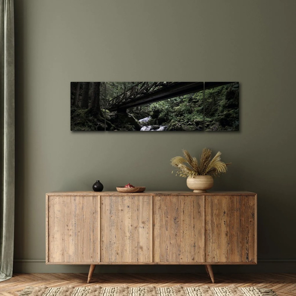 Obraz z czarnego lasu (170x50 cm)