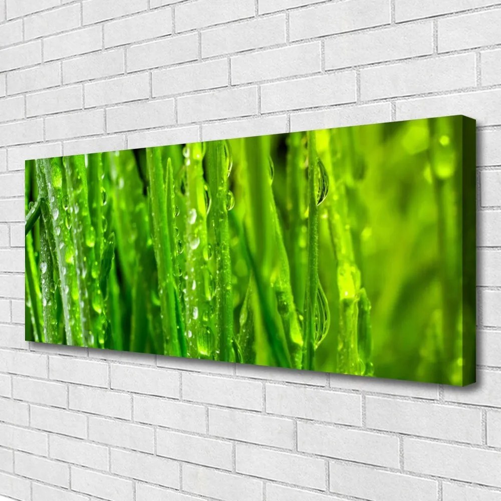 Obraz canvas Naturalna Tekstura Zielonej Trawy