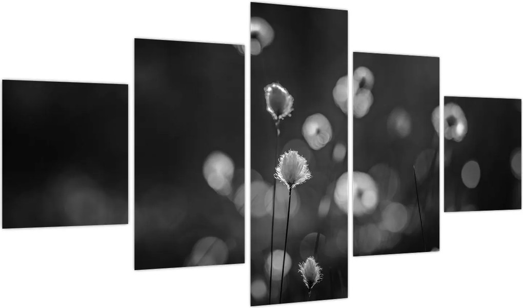 Obraz - Trawa bawełniana na łące (125x70 cm)