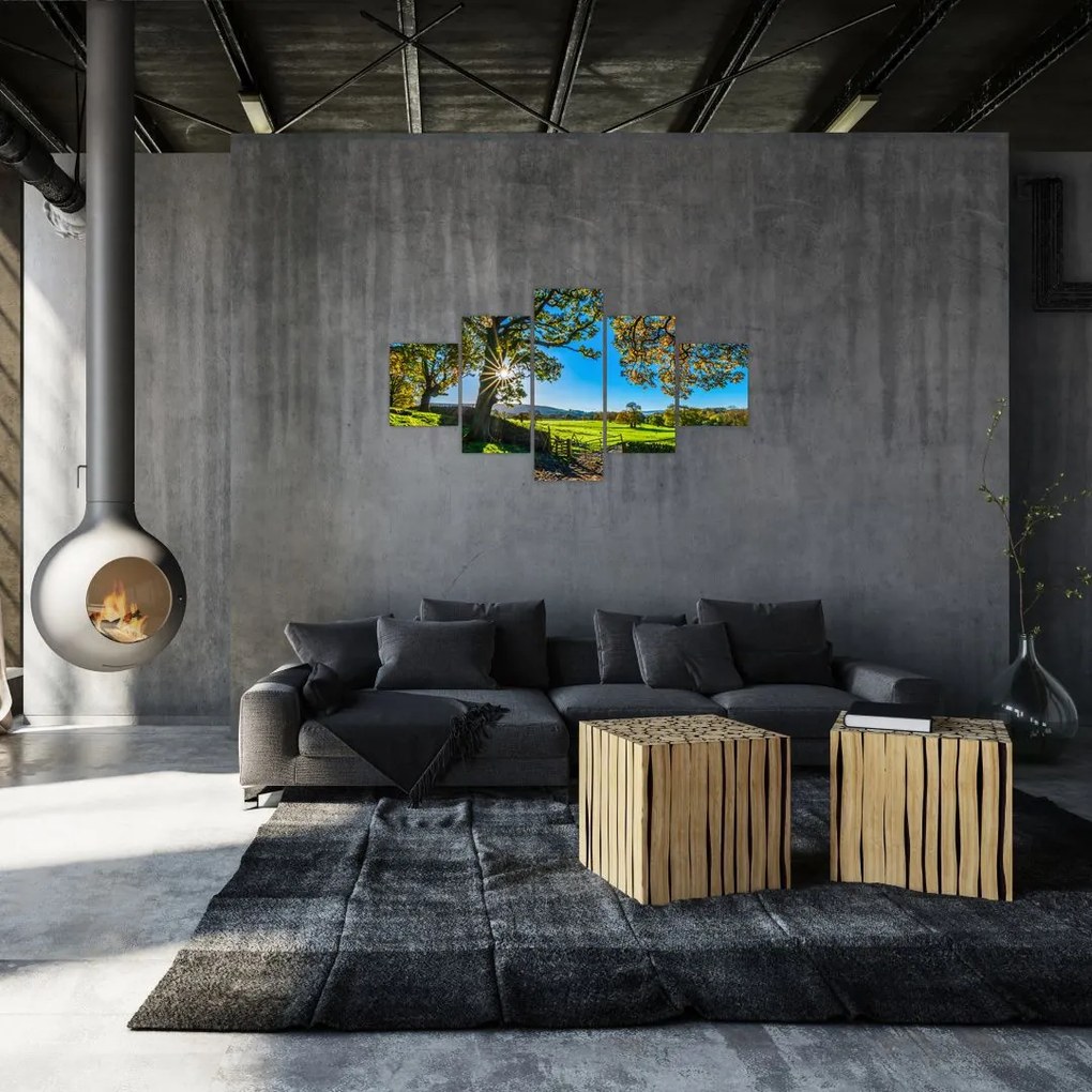 Obraz - widok pola (125x70 cm)