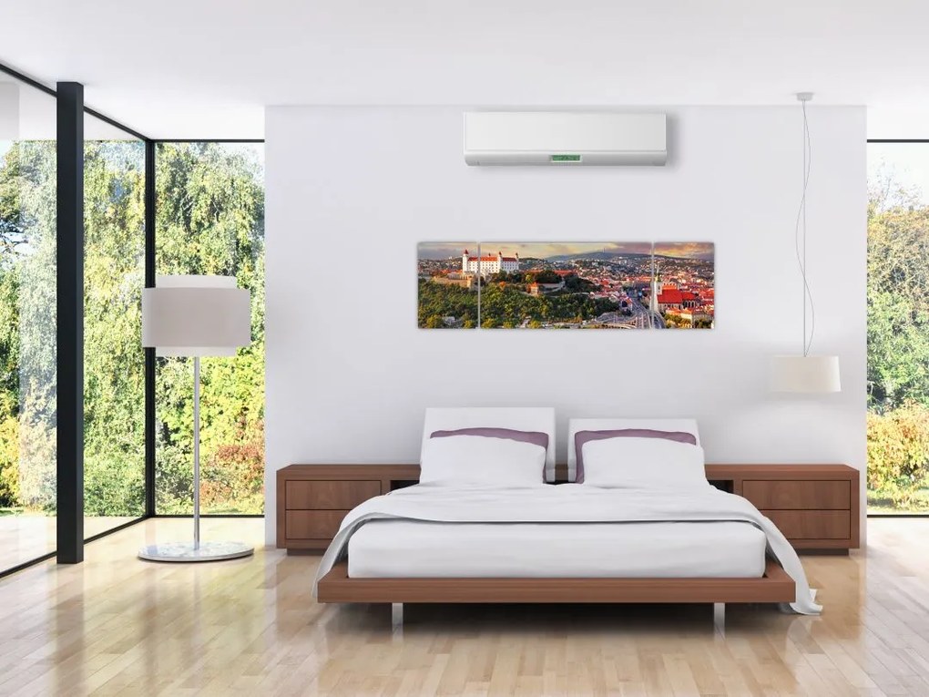 Obraz - Panorama Bratysławy, Słowacja (170x50 cm)