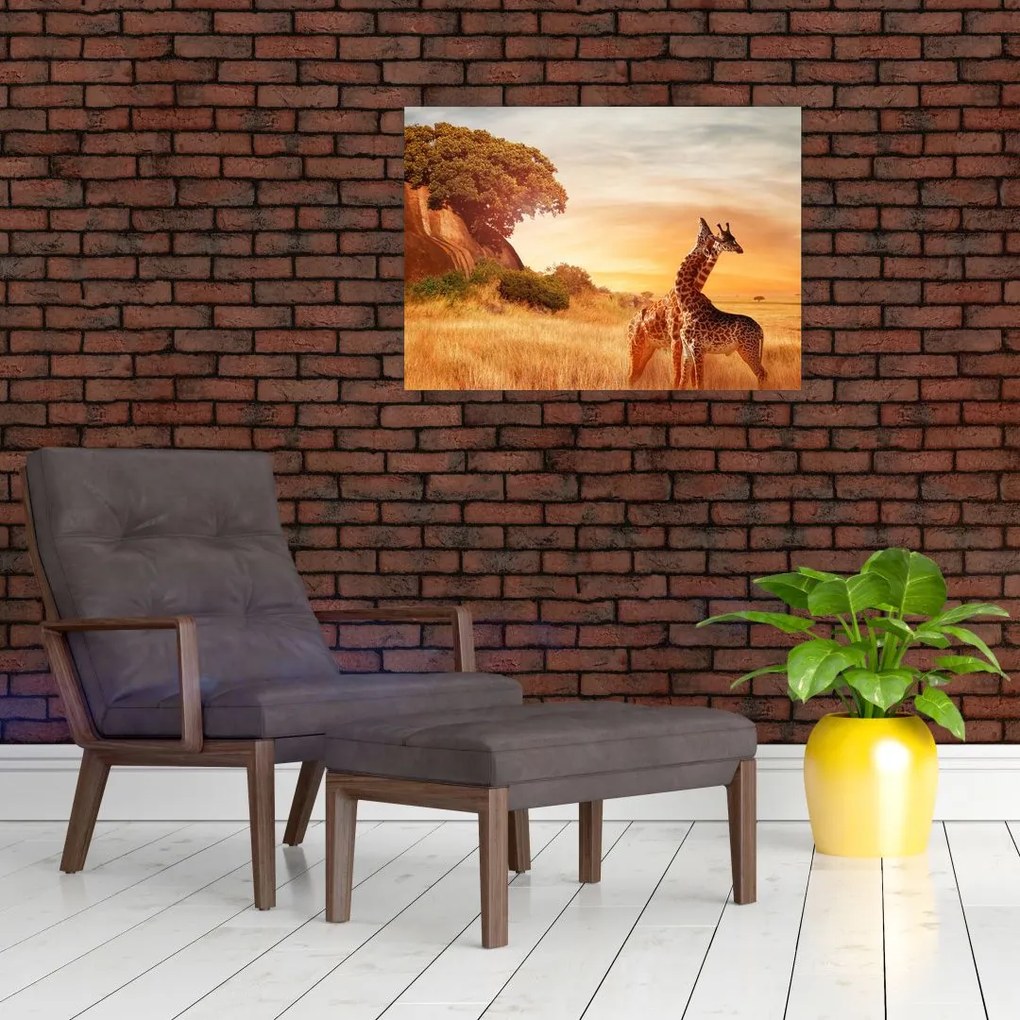 Obraz na szkle - Żyrafy w Afryce (70x50 cm)