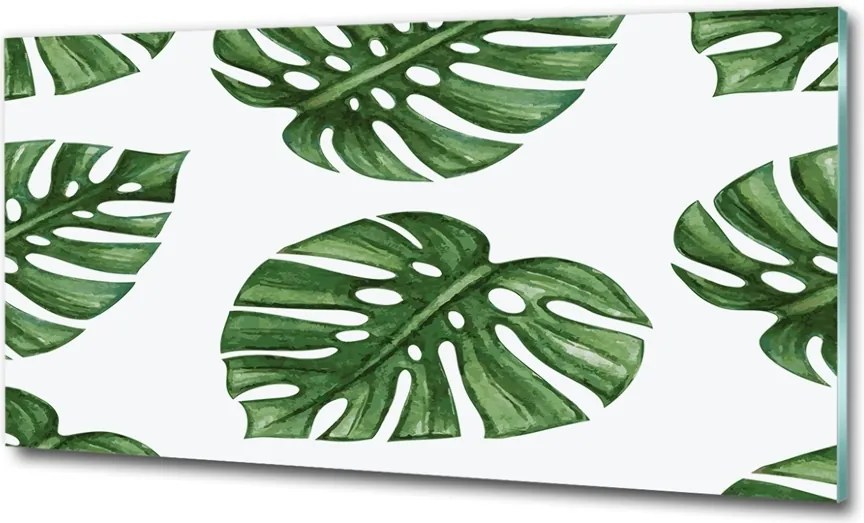 Foto obraz szkło hartowane Monstera