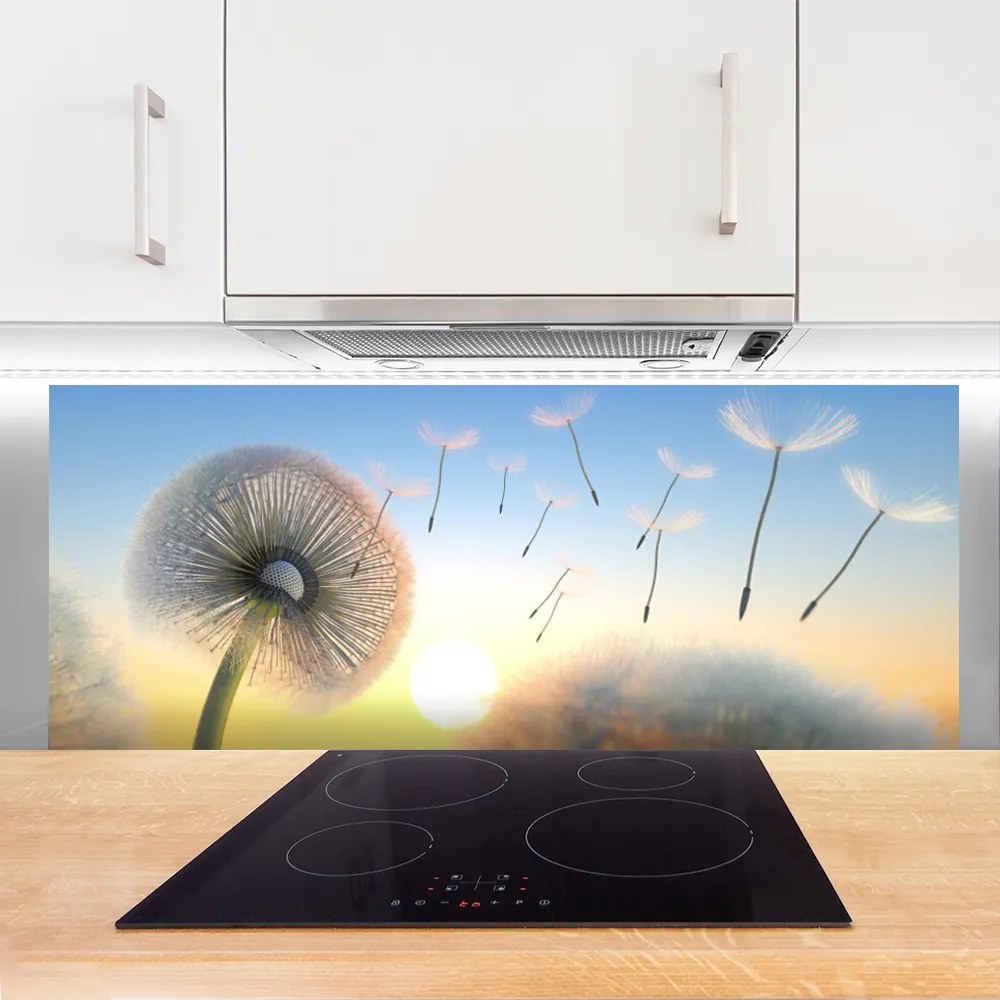 Panel Szklany Puszyste Parasolki Dmuchawca