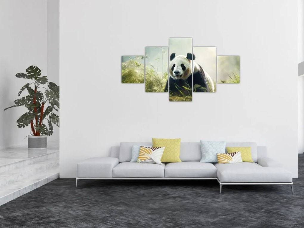 Obraz - Panda (125x70 cm)