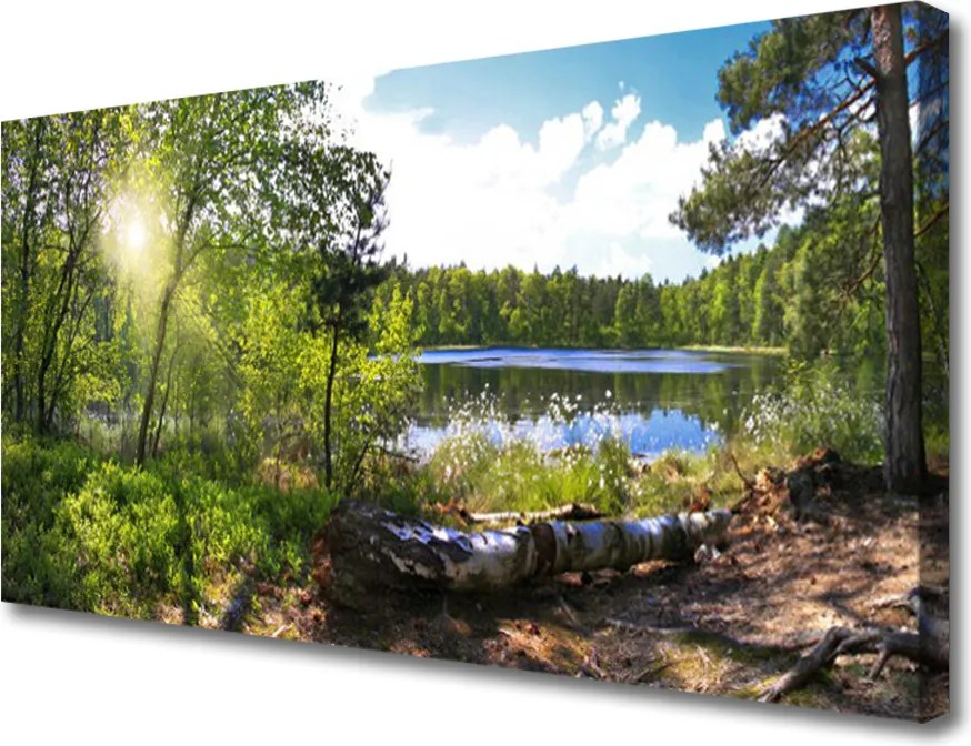 Obraz canvas Jezioro w Objęciach Lasu