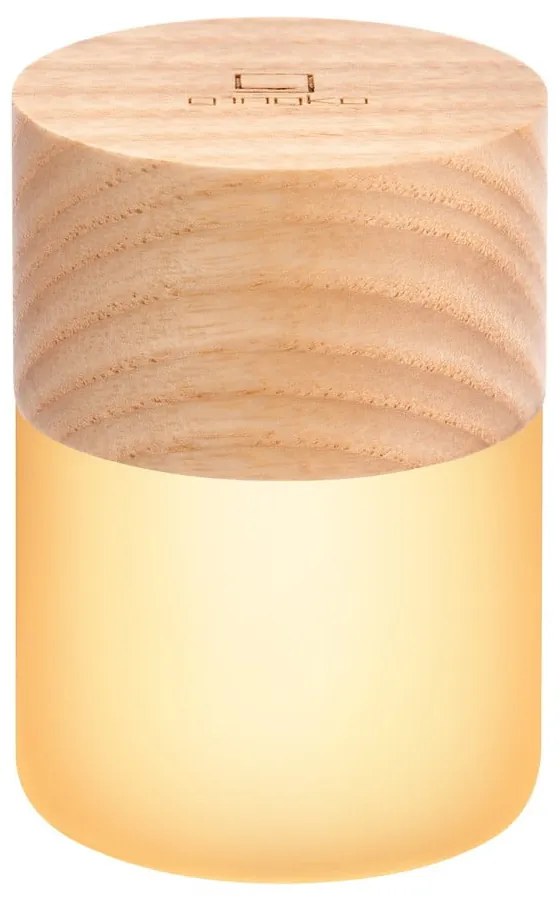 Dekoracja świetlna na USB w naturalnym kolorze ø 4,5 cm Lemelia – Gingko