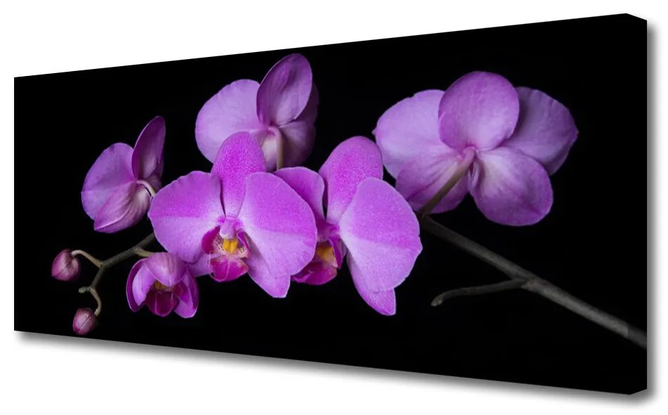 Obraz Canvas Storczyk Orchidea Kwiaty