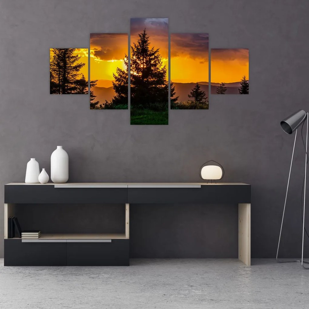 Obraz - drzewa iglaste (125x70 cm)