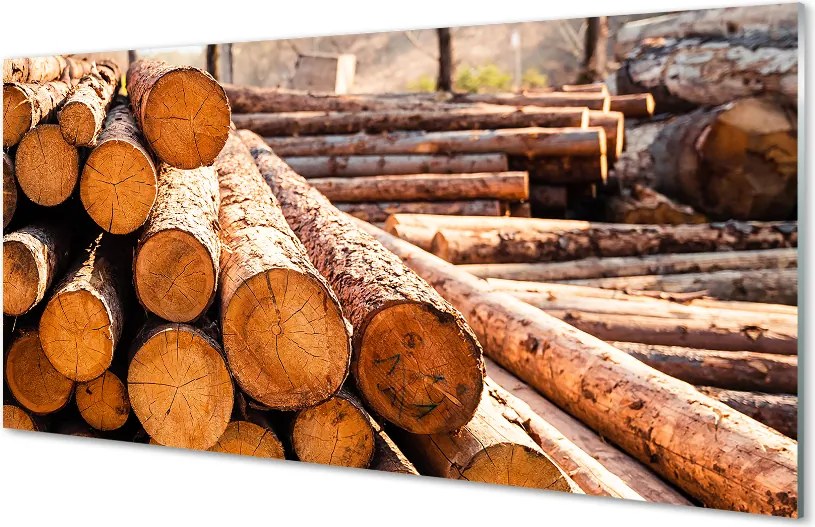 Szklany Panel Składowisko Drewnianych Bali