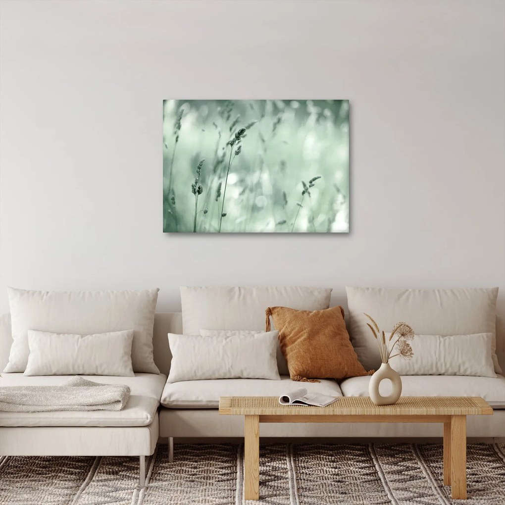 Obraz - Zielona łąka (70x50 cm)
