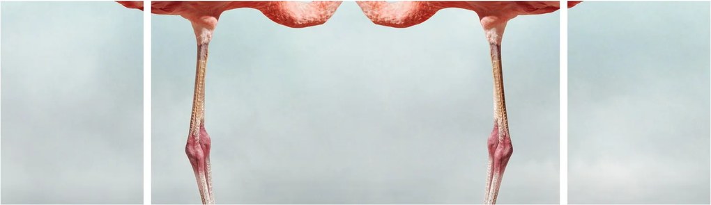 Obraz dwóch flamingów (170x50 cm)
