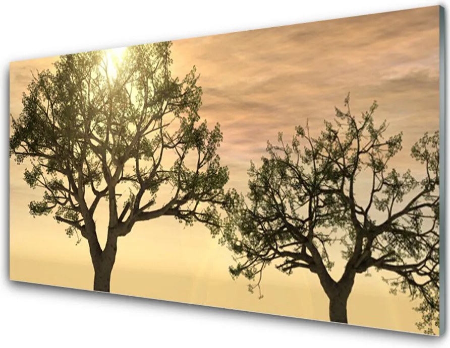 Panel Szklany do Kuchni Gęstwina Leśnych Drzew