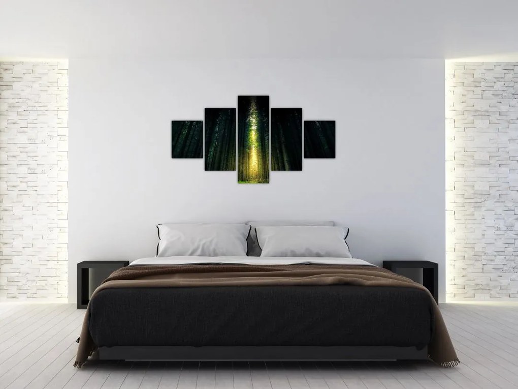Obraz ciemnego lasu (125x70 cm)